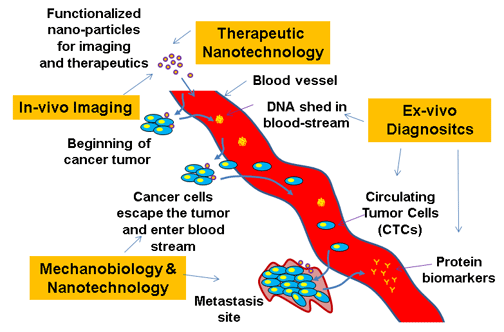 Nanotechnology in Cancer Research Themes